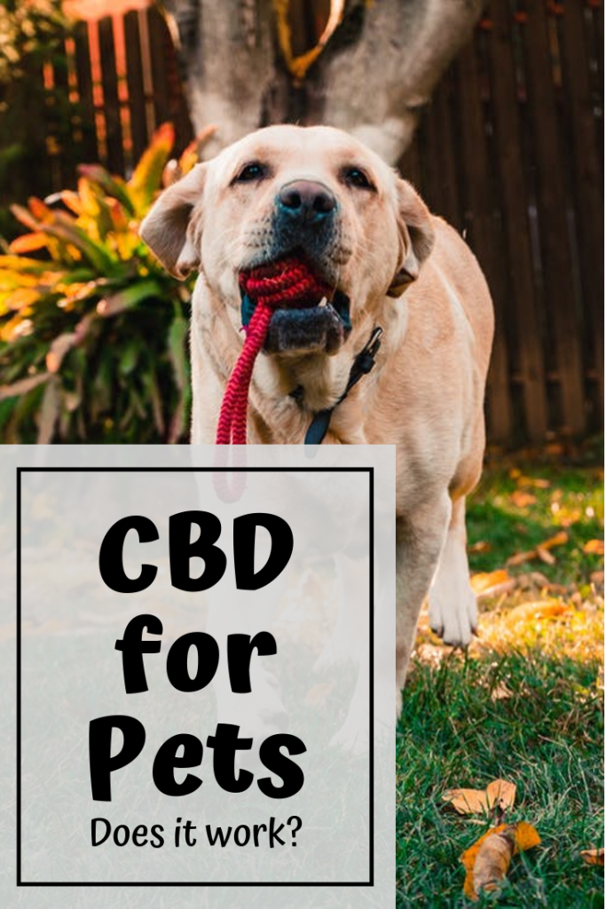 CBD Dog Treats